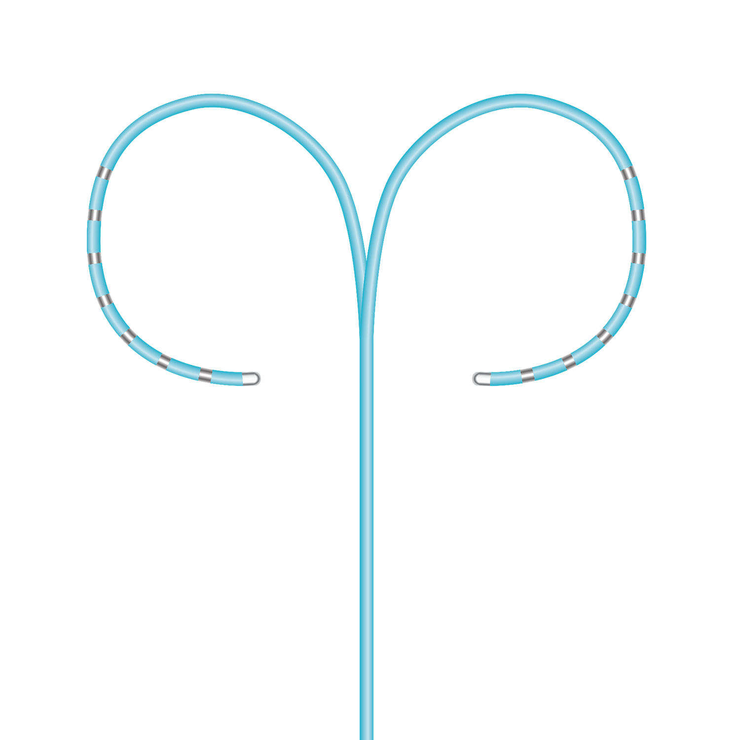STEEROCATHDX™ BiDirectional Steerable Diagnostic Catheters Boston